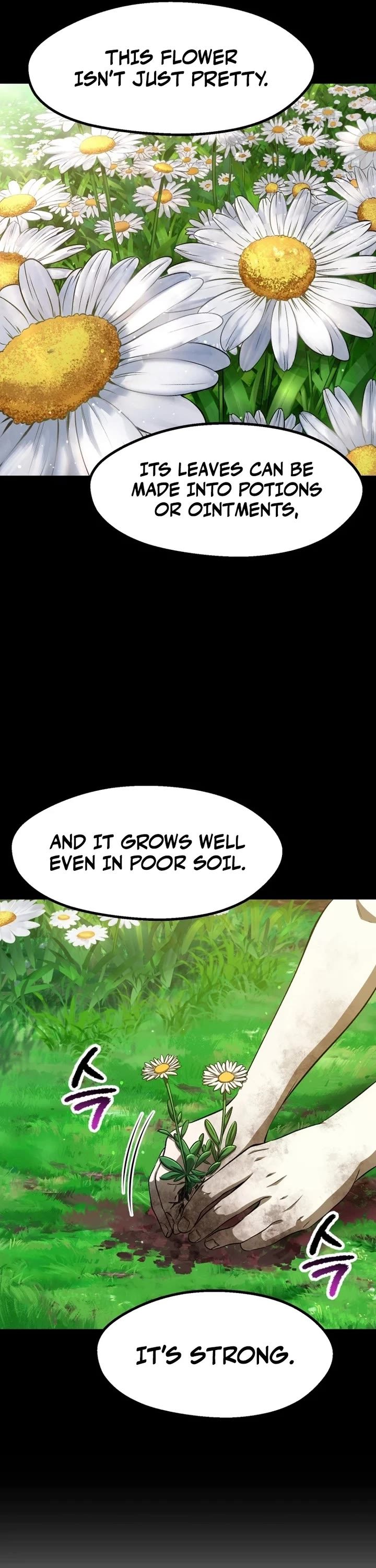 Survival Story of a Sword King in a Fantasy World - Chapter 266 Page 13