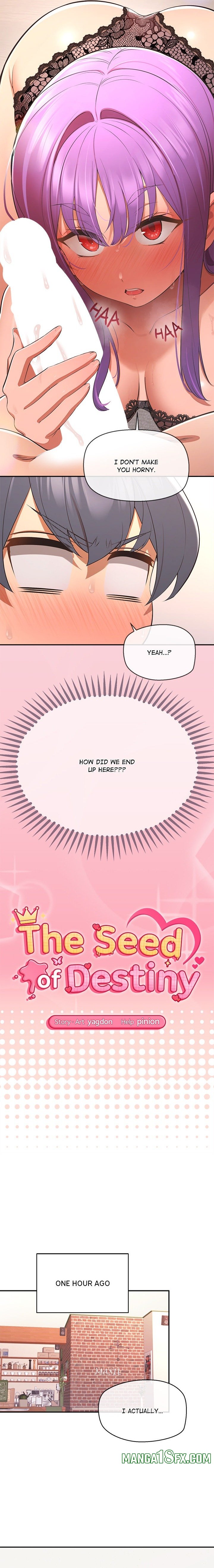 The Seed of Destiny - Chapter 14 Page 2